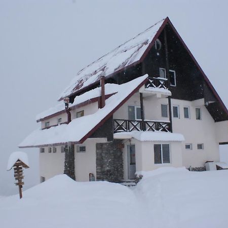 Snow House Hostel Гудаури Екстериор снимка